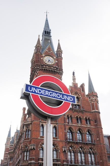 Under My Screen : Le Festival du Film Britannique d'Aiacciu qui fait vibrer la Corse