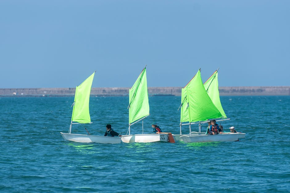 Des activités sportives gratuites pour les jeunes et les séniors