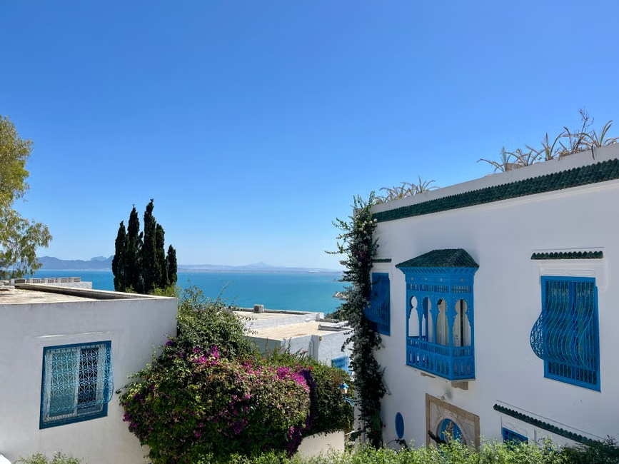 Des jeunes Corses en Tunisie pour un projet solidaire sur la biodiversité méditerranéenne
